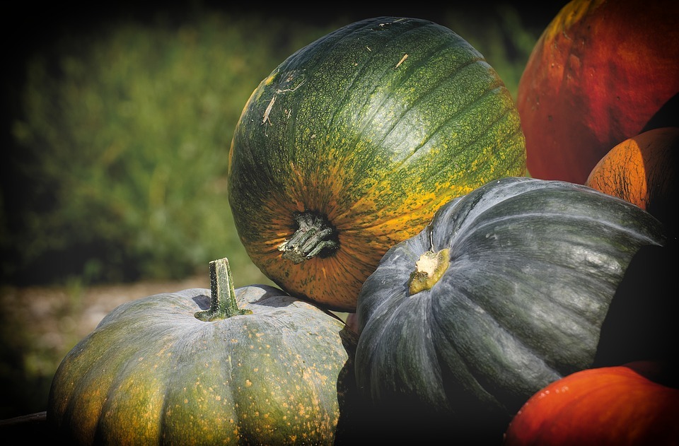 かぼちゃの種類別の品種15選 味 大きさなど特徴を 画像 で紹介 ちそう