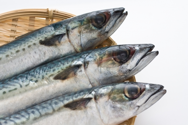 鯖の旬の時期 季節はいつ 種類で違う 栄養価や食べ方のおすすめも紹介 ちそう