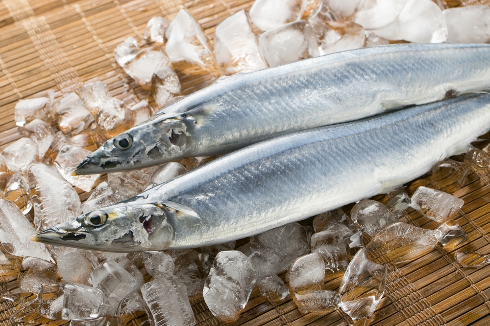 秋刀魚 さんま の旬の時期 季節は 栄養価は 選び方やさばき方 レシピを紹介 ちそう
