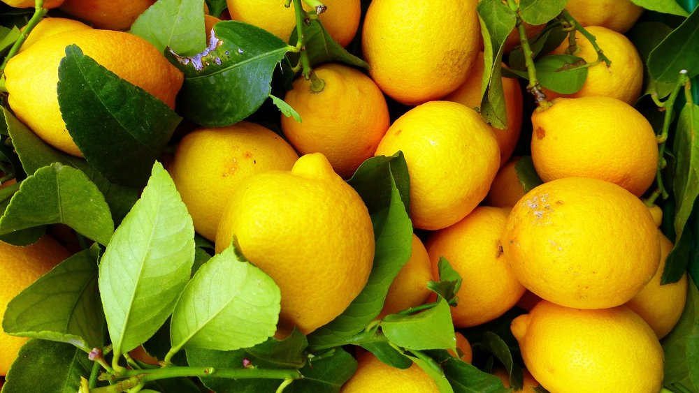 レモンの旬 収穫時期はいつ 種類や産地で違う 選び方や栄養価なども紹介 ちそう