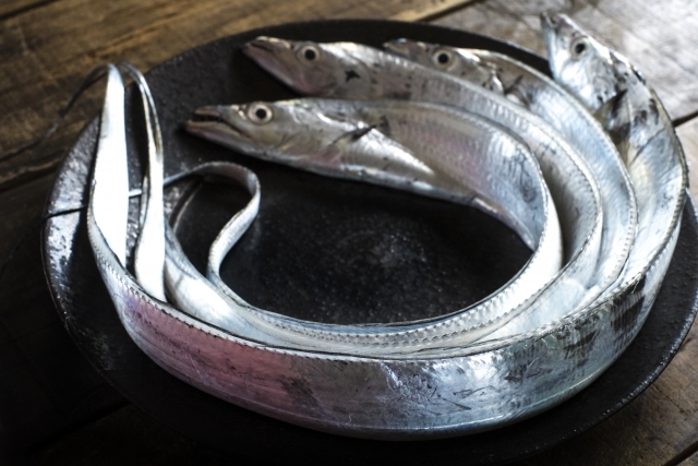 太刀魚の旬の時期 季節はいつ 栄養価は 選び方やレシピのおすすめを紹介 ちそう