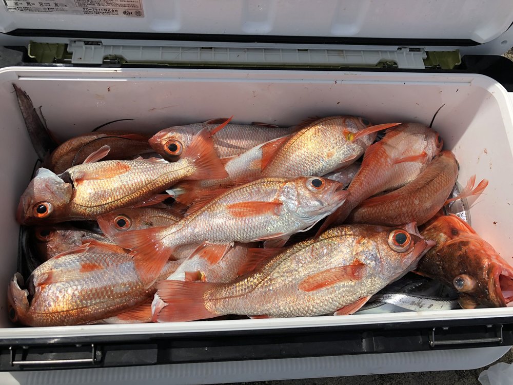 高級魚の価格ランキング表 Top11 種類別の特徴や食べ方のおすすめを紹介 ちそう
