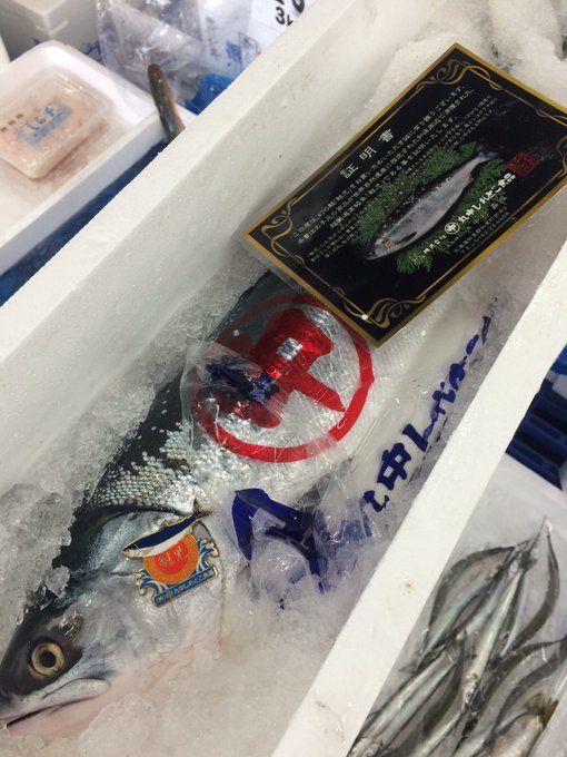 高級魚の価格ランキング表 Top11 種類別の特徴や食べ方のおすすめを紹介 ちそう