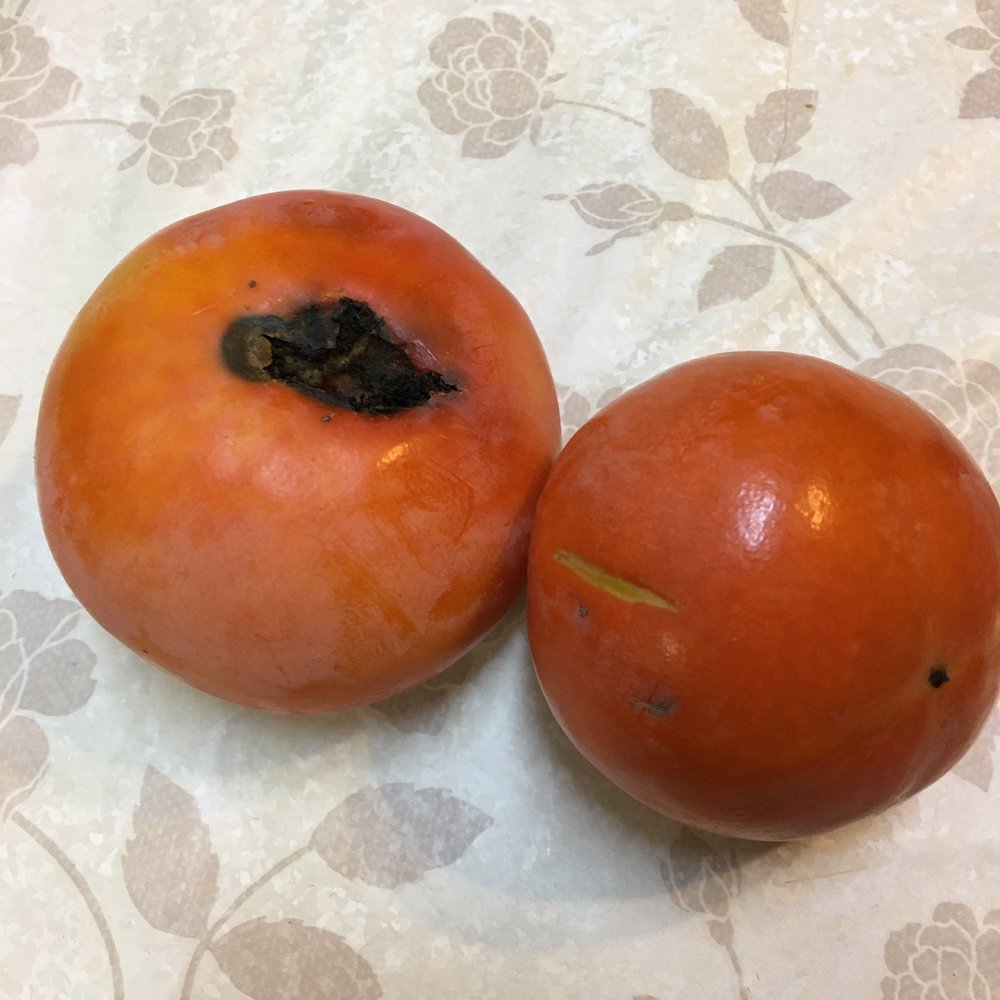 柿に黒い斑点が 腐ってる証拠 ヘタ 果肉 皮別の原因や見分け方を解説 ちそう