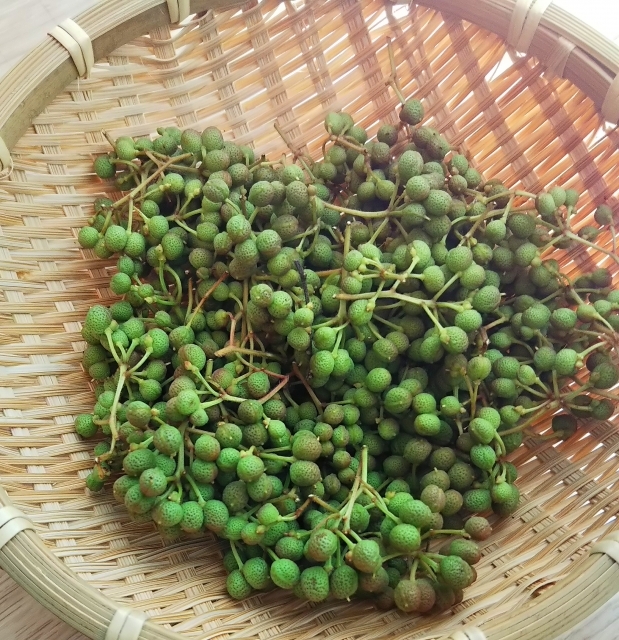 山椒の種類 品種は 旬の時期や実 葉の保存方法は 活用レシピのおすすめも紹介 ちそう
