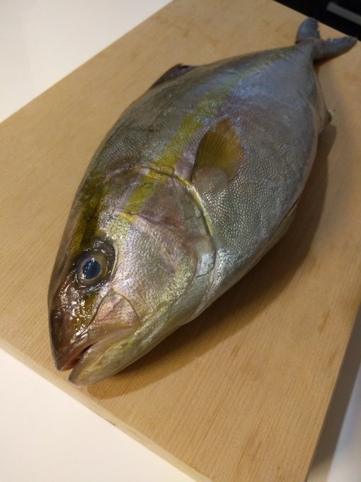 ブリ ヒラマサ カンパチの違いや見分け方は 同じ種類の魚 味 食べ方など比較して紹介 ちそう