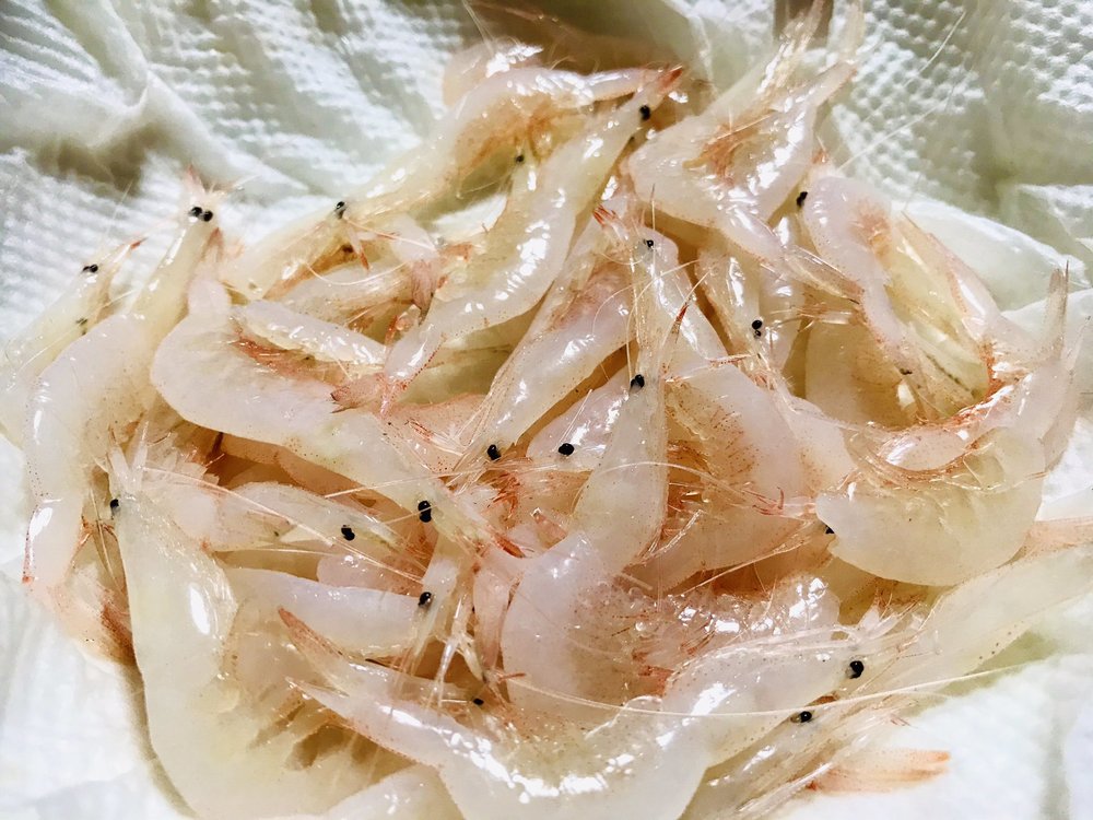 富山名産 白エビ とは 旬の時期 季節は 美味しい食べ方 レシピも紹介 ちそう