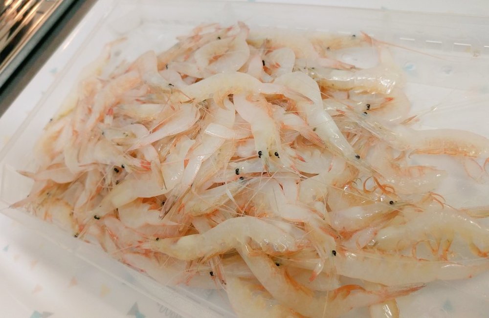 富山名産 白エビ とは 旬の時期 季節は 美味しい食べ方 レシピも紹介 ちそう