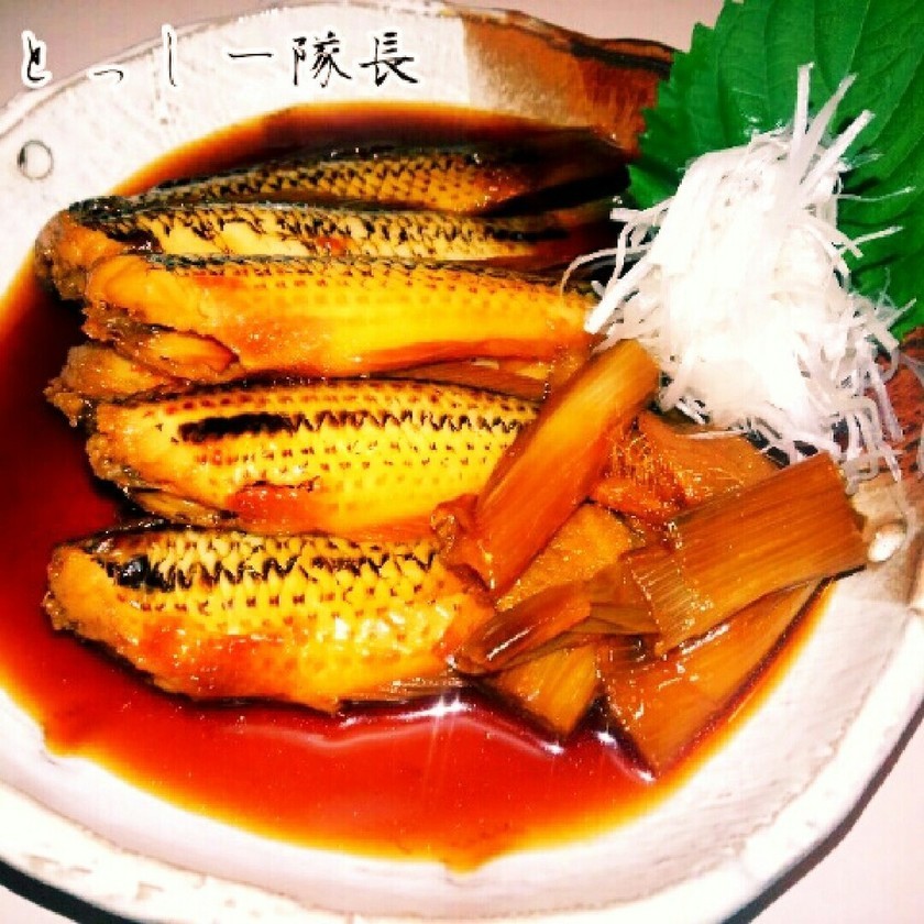 ベラ キュウセン の美味しい食べ方は 刺身が一番 捌き方や調理法のおすすめも紹介 ちそう