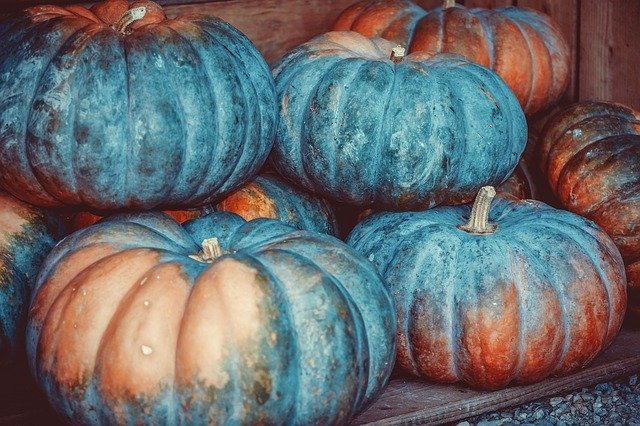 南京 かぼちゃ 南瓜は別物 種類が違う 名前の由来やその他の別名など紹介 ちそう