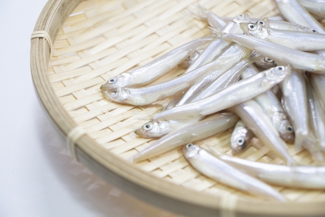 ワカサギの漢字 公魚 に 公 がつく理由は 由来 意味や名前の語源も紹介 ちそう