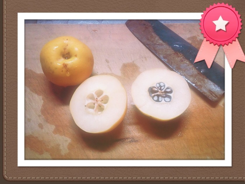 ボケの実とは 食べ頃 収穫時期はいつ 効能や芳香剤への活用方法も紹介 ちそう