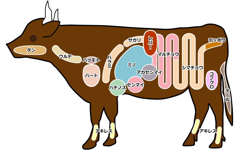 ウルテは牛のどこの部位 カロリー 栄養価は 味 食感など特徴も紹介 ちそう