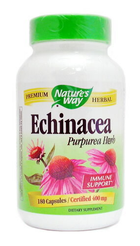 ハーブ エキナセア の効能は 風邪予防に効果あり アレルギー 副作用の注意点を紹介 ちそう