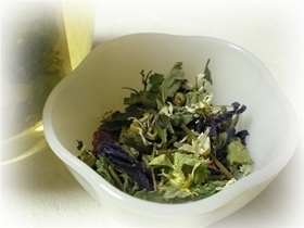 キャットニップ イヌハッカ とは 猫との関係は 効能 育て方 活用レシピまで紹介 ちそう