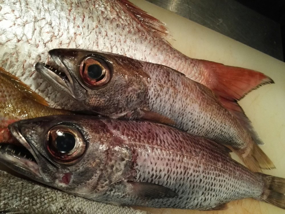 むつはどんな魚 種類別の味 旬など特徴は 美味しい食べ方 レシピのおすすめも紹介 ちそう