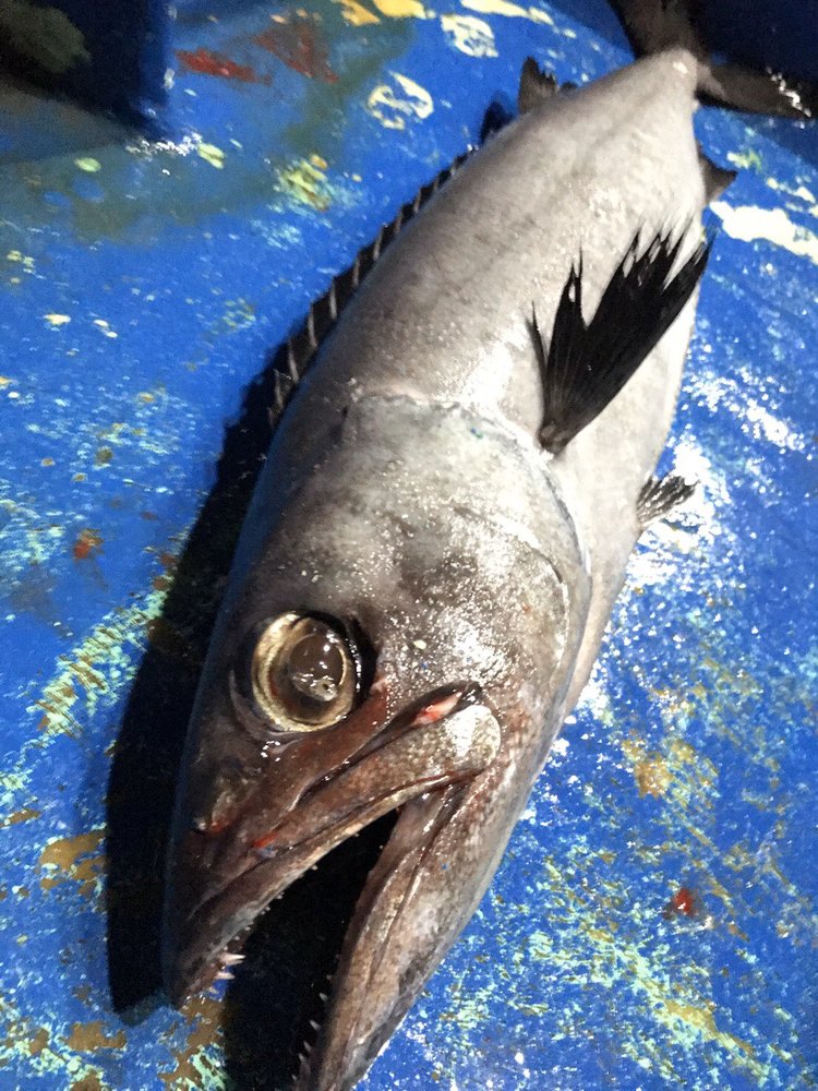 むつはどんな魚 種類別の味 旬など特徴は 美味しい食べ方 レシピのおすすめも紹介 ちそう