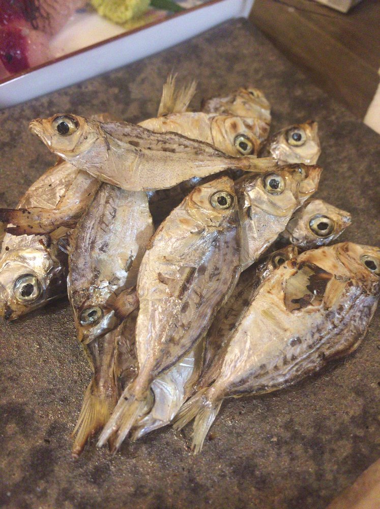 ヒイラギは釣り人に嫌われる魚 毒があるの 捌く注意点や食べ方のおすすめを紹介 ちそう