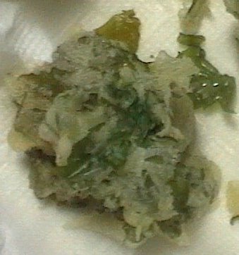 キャットニップ イヌハッカ とは 猫との関係は 効能 育て方 活用レシピまで紹介 ちそう