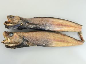 どんこ エゾイソアイナメ はどんな魚 刺身や肝の美味しい食べ方を紹介 ちそう