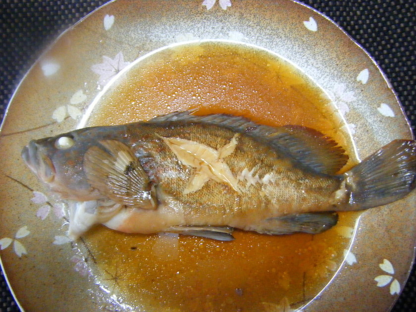 高級魚 キジハタ の値段は高い サイズで変わる 味や食べ方のおすすめも紹介 ちそう