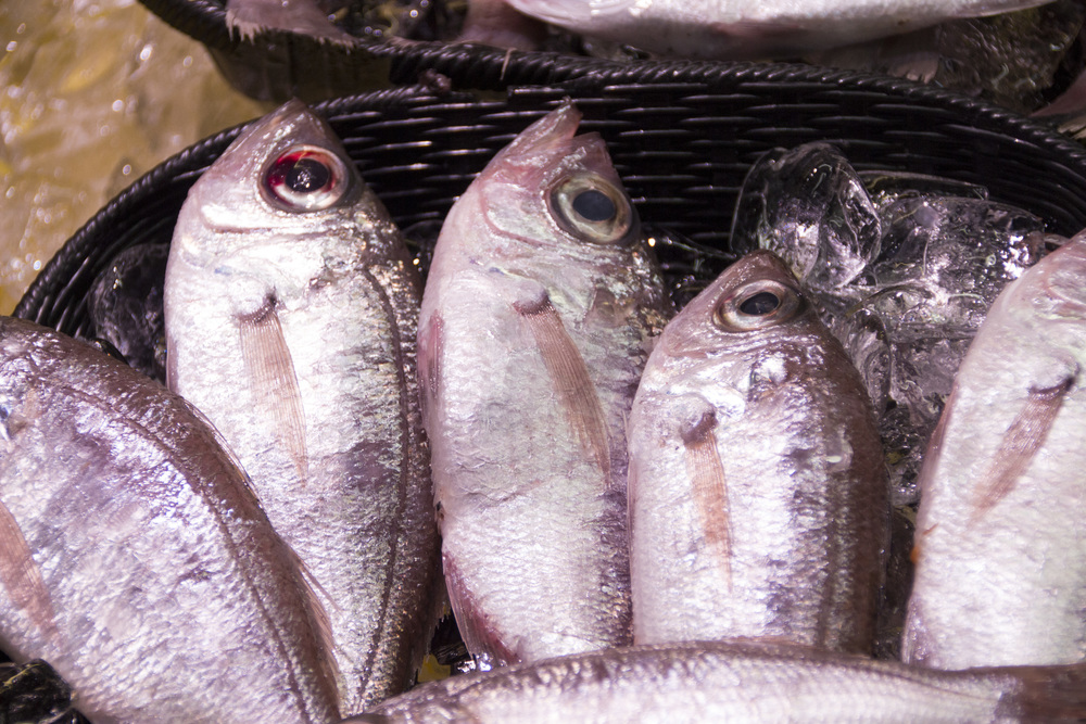 高級魚 クロムツ とは 値段や旬の時期は 刺身など食べ方のおすすめも紹介 ちそう