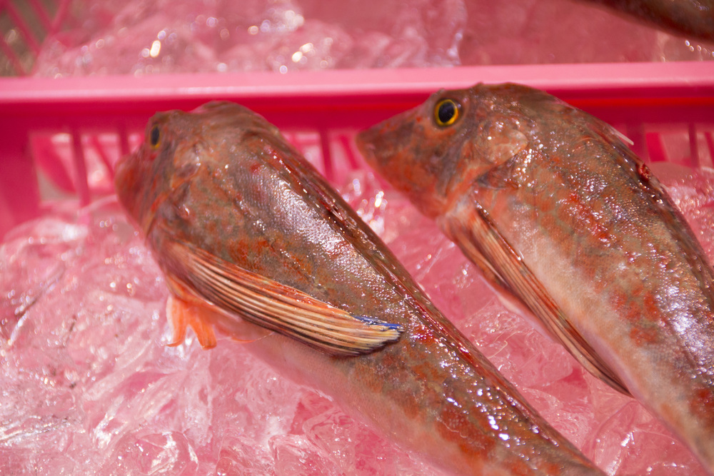 高級魚 ホウボウ とは 値段 味わいの特徴は 刺身など美味しい食べ方も紹介 ちそう