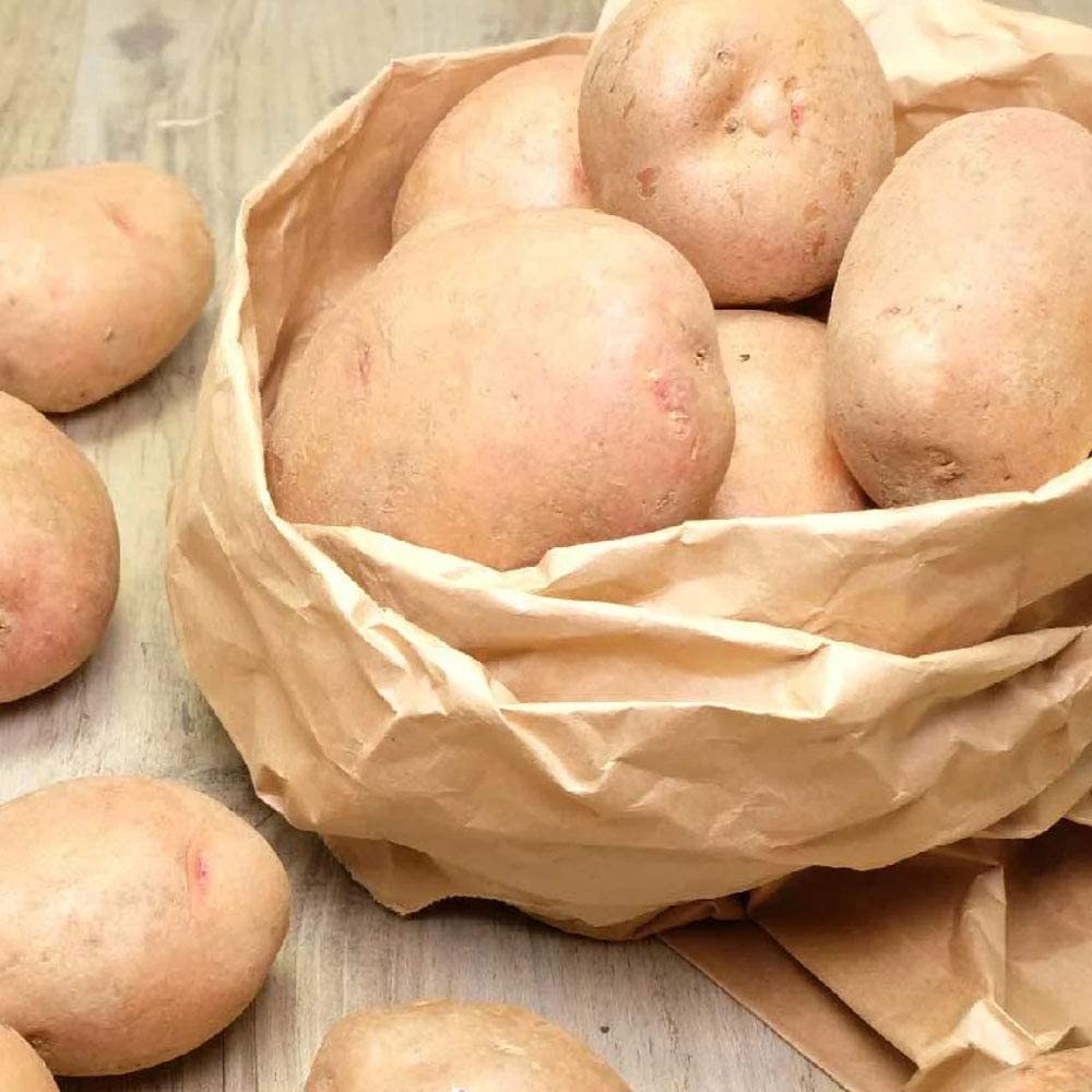 じゃがいも品種 さやあかね の特徴は 味わいや食べ方 レシピのおすすめも紹介 ちそう