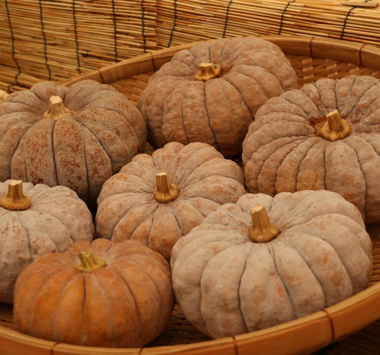 菊座かぼちゃとは 切り口の菊形が特徴 食べ方 レシピのおすすめも紹介 ちそう