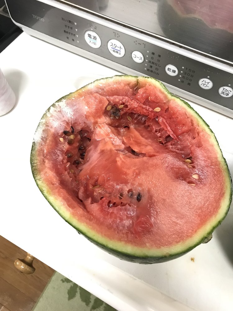 スイカが腐るとどうなる 味は酸っぱい 見分け方や食べた時の危険性など紹介 ちそう