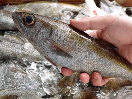 高級魚 銀むつ とは メロと違いある 美味しい食べ方 レシピを紹介 ちそう