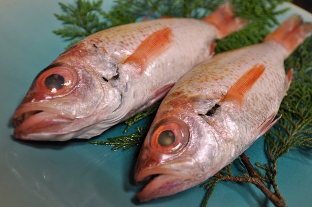 高級魚 のどぐろ の値段は高い サイズ 調理法 旬の時期別に比較して紹介 ちそう