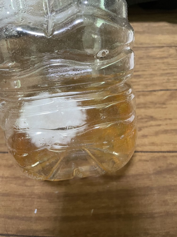 お茶にカビ 飲んだらどうなる 対処法や正しい保存方法 捨て方を紹介 ちそう