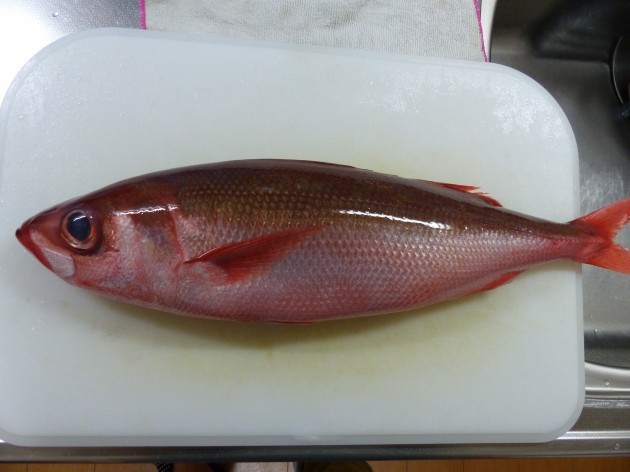 赤い魚 ハチビキ とは 食べ方は刺身が一番 味わいや人気レシピを紹介 ちそう