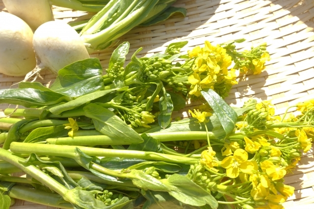 アスパラ菜とは 菜の花みたい 旬 栄養など特徴や保存法 食べ方も紹介 ちそう