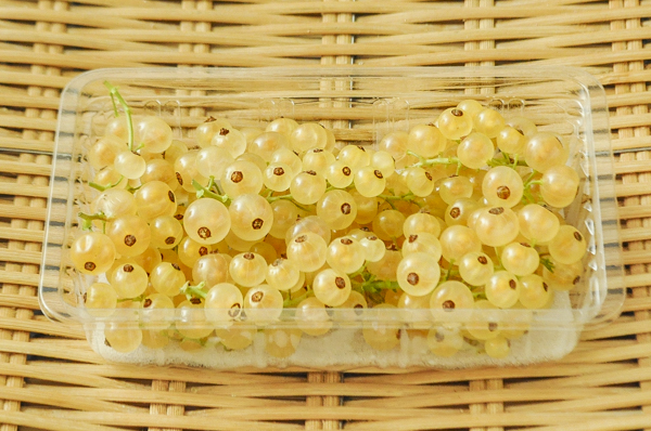 スグリとは カシスと違う果物 種類 花言葉や美味しい食べ方も紹介 ちそう