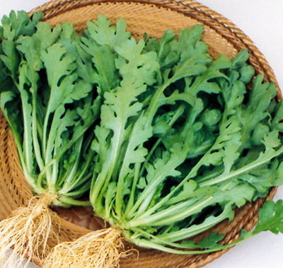 菊菜とはどんな野菜 春菊の別名で違いはない 味わいや旬なども紹介 ちそう
