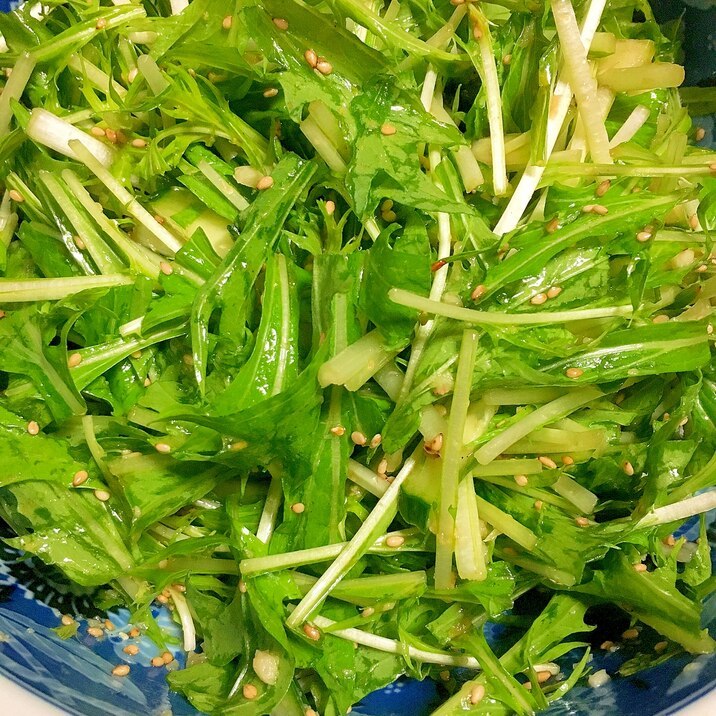 余った水菜を大量消費できる人気レシピ25選 簡単 美味しい使い道って ちそう