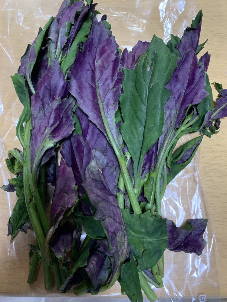 ネバネバ野菜の種類11選を一覧で 効果 効能や活用レシピも紹介 ちそう