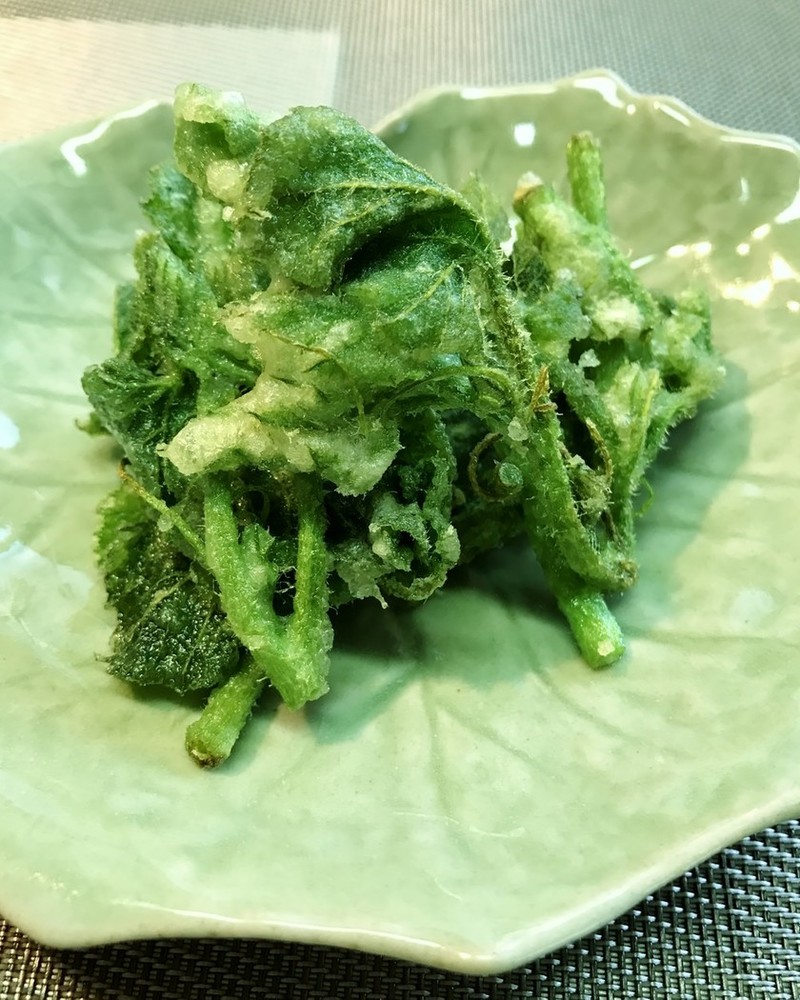 かぼちゃの葉っぱ 茎は食べられる 味や栄養価は レシピのおすすめも紹介 ちそう