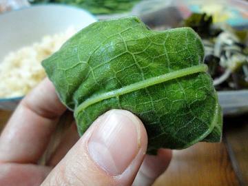 かぼちゃの葉っぱ 茎は食べられる 味や栄養価は レシピのおすすめも紹介 ちそう