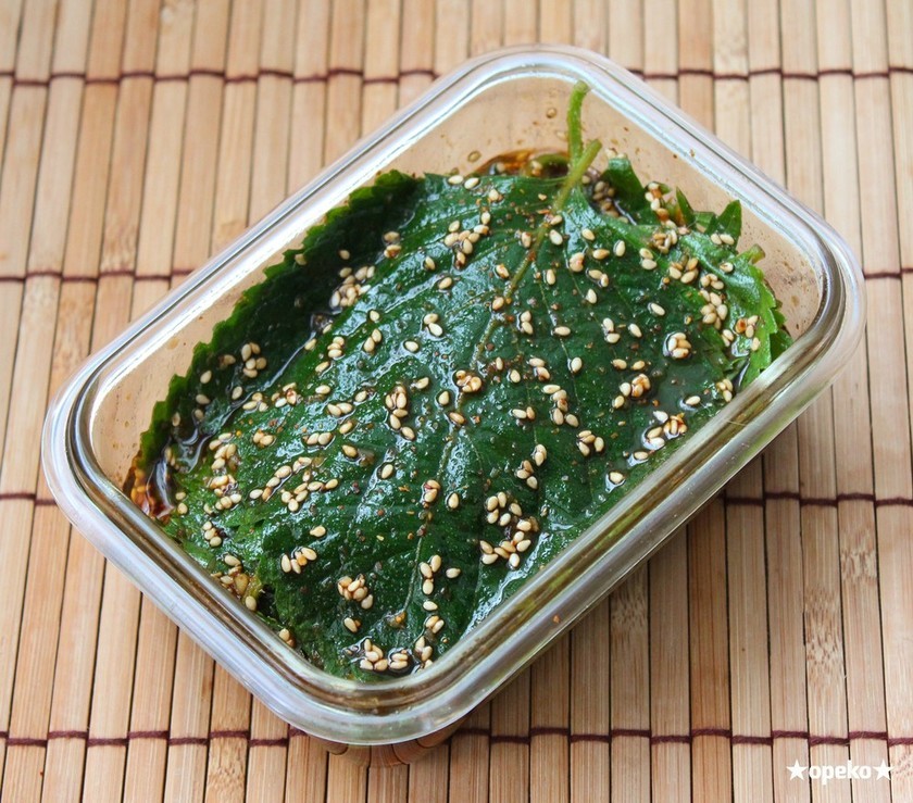 エゴマの葉の人気レシピ17選 簡単で美味しい料理への使い方を紹介 ちそう