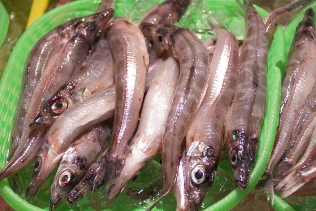 深海魚 ニギス とは 旬の時期や栄養は 美味しい食べ方 レシピ7選を紹介 ちそう