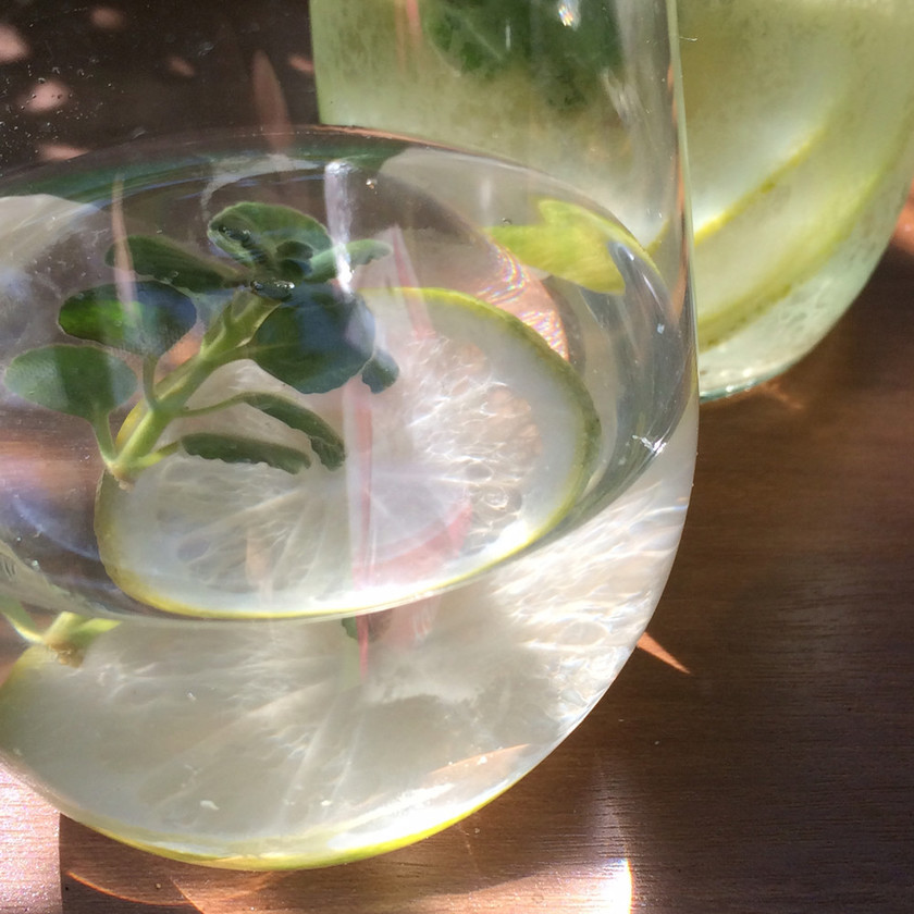 アロマティカスの食べ方は 料理への使い方や活用レシピ5選を紹介 ちそう