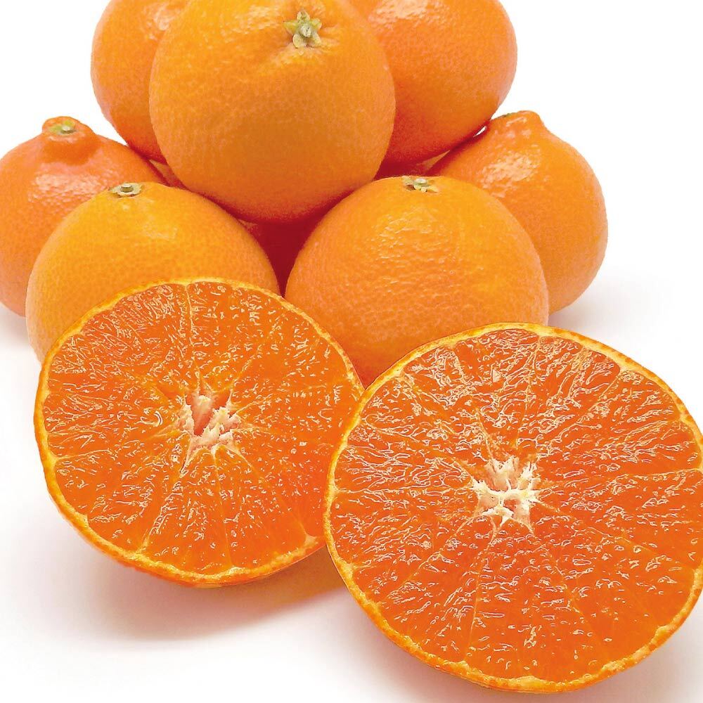 【12月お届け】 愛媛産 「紅まどんな」 2kg