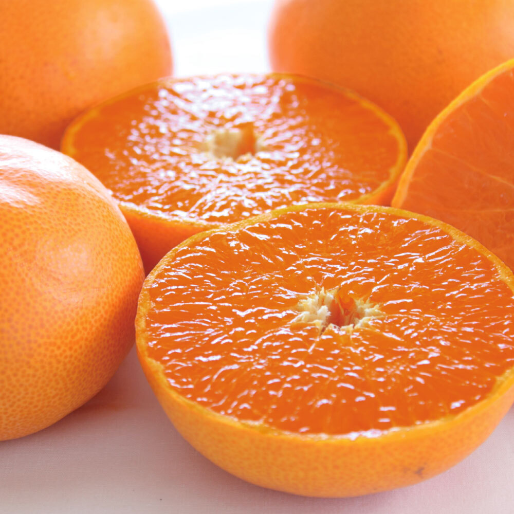 【2月お届け】 愛媛産「せとか」 2.5kg