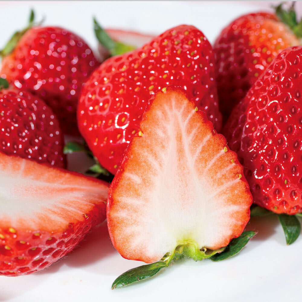 【3月お届け】 埼玉深谷産「あまりん苺」 450g（計2パック）