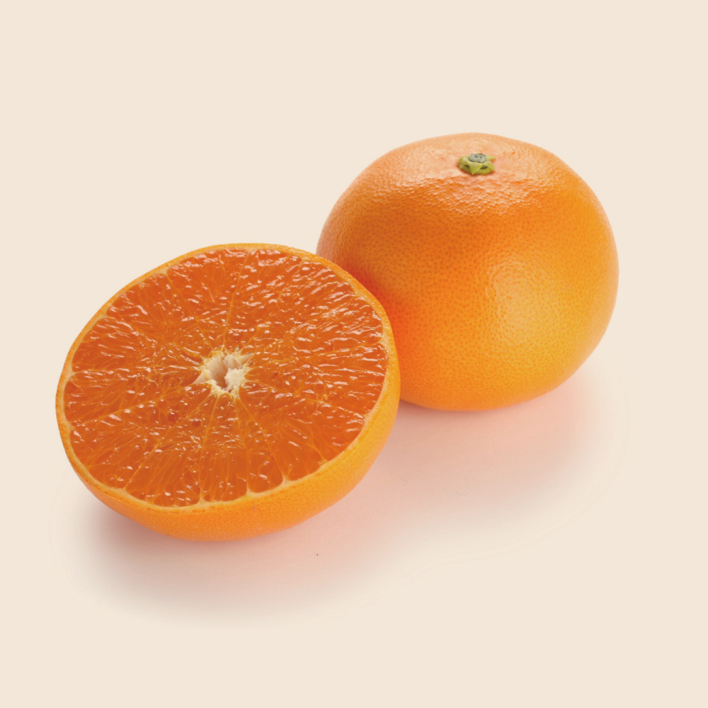 広島産 自然熟 「せとか」 3kg