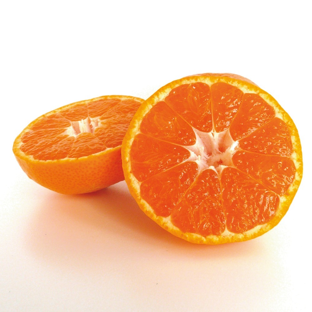 広島産 自然熟「いしじみかん」5kg【12月上旬〜12月中旬頃お届け】