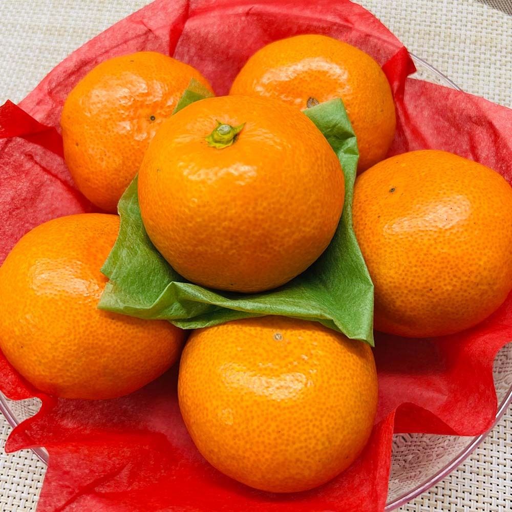 【お歳暮】長崎産 みかん「出島の華」3kg【12月上旬〜中旬頃お届け】